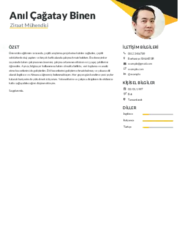 Ziraat Mühendisi Cv Örnekleri cv indir